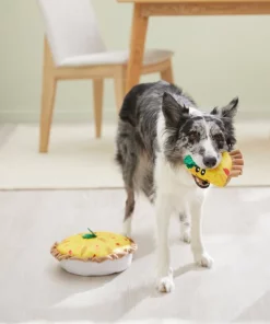 Frisco Brunch Quiche 2-in-1 Plush Squeaky Dog Toy -The Frisco Store 297248 PT3. SY630 V1642089163