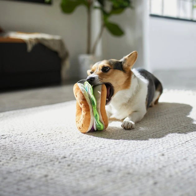 Frisco Brunch Bagel with Lox Plush Squeaky Dog Toy 5 Frisco Brunch Bagel with Lox Plush Squeaky Dog Toy - Image 3