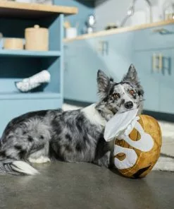 Frisco Brunch Cinnamon Roll Jumbo Plush Squeaky Dog Toy -The Frisco Store 297260 PT2. SY630 V1642089012