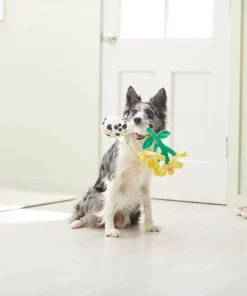 Frisco Brunch Flowers Plush Squeaky Dog Toy -The Frisco Store 297270 PT2. SY630 V1642088292