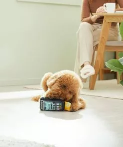 Frisco Brunch Credit Card & Machine Plush Squeaky Dog Toy 7 Frisco Brunch Credit Card & Machine Plush Squeaky Dog Toy -The Frisco Store 297274 PT2. SY630 V1642088452