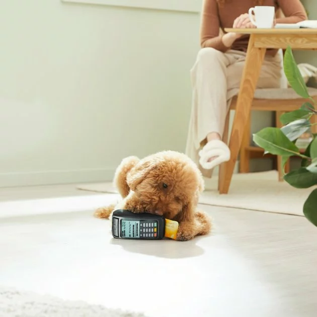 Frisco Brunch Credit Card & Machine Plush Squeaky Dog Toy 5 Frisco Brunch Credit Card & Machine Plush Squeaky Dog Toy - Image 3