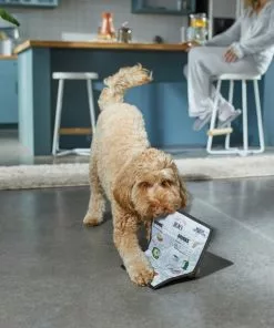 Frisco Brunch Menu Ballistic Nylon Flat Plush Squeaky Dog Toy -The Frisco Store 297276 PT2. SY630 V1642088788