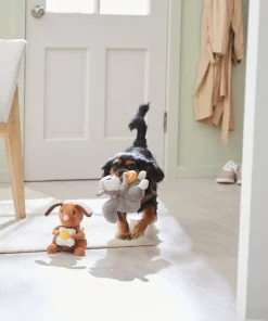 Frisco Brunch Dog & Squirrel Plush Squeaky Dog Toy, 2 count -The Frisco Store 297280 PT2. SY630 V1642088192