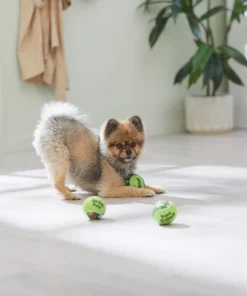 Frisco Brunch Fetch Squeaky Tennis Ball Dog Toy, 3 count -The Frisco Store 297284 PT2. SY630 V1642088214