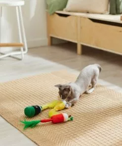 Frisco Brunch Bottomless Mimosas Plush Cat Toy with Catnip, 3 count 7 Frisco Brunch Bottomless Mimosas Plush Cat Toy with Catnip, 3 count -The Frisco Store 297288 PT2. SY630 V1642088553