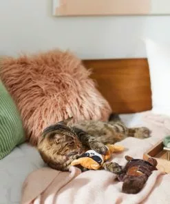 Frisco Brunch Bear & Fox Plush Cat Toy with Catnip, 2 count 7 Frisco Brunch Bear & Fox Plush Cat Toy with Catnip, 2 count -The Frisco Store 297290 PT2. SY630 V1642088814