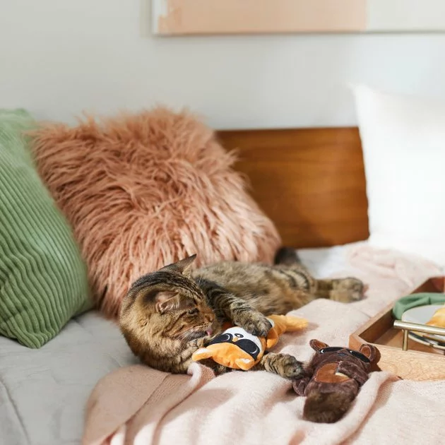 Frisco Brunch Bear & Fox Plush Cat Toy with Catnip, 2 count 5 Frisco Brunch Bear & Fox Plush Cat Toy with Catnip, 2 count - Image 3