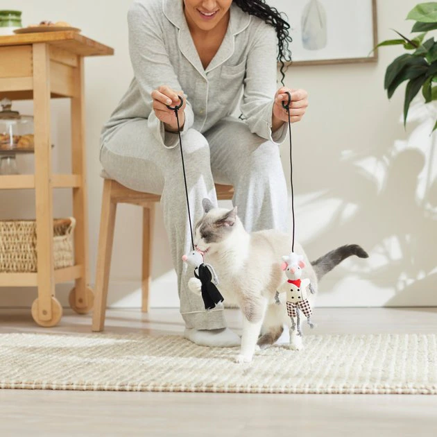 Frisco Brunch Chef & Waiter Bouncy Mouse Cat Toy with Catnip, 2 count 5 Frisco Brunch Chef & Waiter Bouncy Mouse Cat Toy with Catnip, 2 count - Image 3