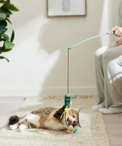 Frisco Brunch Mimosa Teaser Wand Cat Toy with Catnip 7 Frisco Brunch Mimosa Teaser Wand Cat Toy with Catnip -The Frisco Store 297310 PT2. SY630 V1642088597