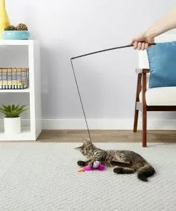 Blue Buffalo||Frisco Blue Buffalo Wilderness Chicken & Turkey Grain-Free Cat Treats, 2-oz bag + Frisco Bird Teaser with Feathers Cat Toy, Purple -The Frisco Store 297848 PT7. SY630 V1621300350