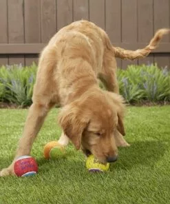 Frisco||The Lazy Dog Cookie Co. Frisco Fetch Squeaking Birthday Tennis Ball Dog Toy, 3-Pack + The Lazy Dog Cookie Co. Happy Birthday Pup-PIE Dog Treat, Boy -The Frisco Store 297958 PT3. SY630 V1621303653