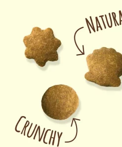 Friskies||Frisco Friskies Party Mix Natural Yums With Real Chicken Cat Treats, 6-oz bag + Frisco Melamine Dog & Cat Treat Jar with Bamboo Lid, 8 Cups 12 Friskies||Frisco Friskies Party Mix Natural Yums With Real Chicken Cat Treats, 6-oz bag + Frisco Melamine Dog & Cat Treat Jar with Bamboo Lid, 8 Cups -The Frisco Store 298036 PT3. SY630 V1623254242