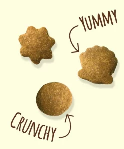 Friskies||Frisco Friskies Party Mix Natural Yums with Real Tuna Cat Treats, 6-oz bag + Frisco Melamine Dog & Cat Treat Jar with Bamboo Lid, 8 Cups 12 Friskies||Frisco Friskies Party Mix Natural Yums with Real Tuna Cat Treats, 6-oz bag + Frisco Melamine Dog & Cat Treat Jar with Bamboo Lid, 8 Cups -The Frisco Store 298044 PT3. SY630 V1621261941