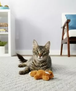 Instinct||Frisco Instinct Raw Boost Grain-Free Recipe with Real Chicken & Freeze-Dried Raw Coated Pieces Dry Cat Food, 10-lb bag + Frisco Refillable Catnip Cat Toy, Brown Squirrel -The Frisco Store 298152 PT6. SY630 V1623201461