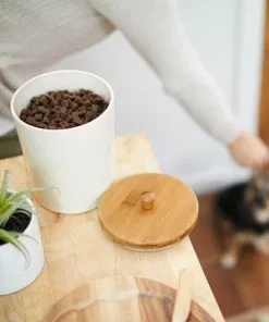 Tiny Tiger||Frisco Tiny Tiger Chicken Chompers Flavor Filled Cat Treats, 16-oz bag + Frisco Melamine Dog & Cat Treat Jar with Bamboo Lid, 8 Cups -The Frisco Store 298560 PT6. SY630 V1623203574