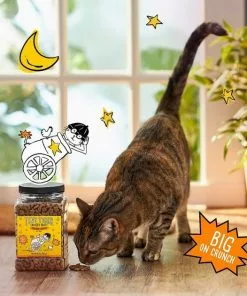 Tiny Tiger||Frisco Tiny Tiger Crunchy Bunch, Chicken Cannonball, Chicken Flavor Cat Treats, 20-oz Jar + Frisco Melamine Dog & Cat Treat Jar with Bamboo Lid, 8 Cups -The Frisco Store 298584 PT3. SY630 V1623197557