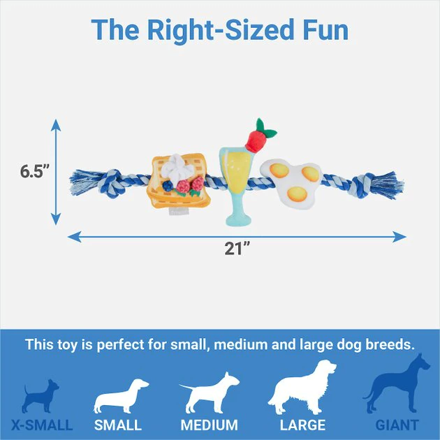 Frisco Lantern Plush with Rope Squeaky Dog Toy 4 Frisco Lantern Plush with Rope Squeaky Dog Toy - Image 2