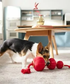 Frisco Lantern Plush with Rope Squeaky Dog Toy 7 Frisco Lantern Plush with Rope Squeaky Dog Toy -The Frisco Store 298885 PT3. SY630 V1640269279