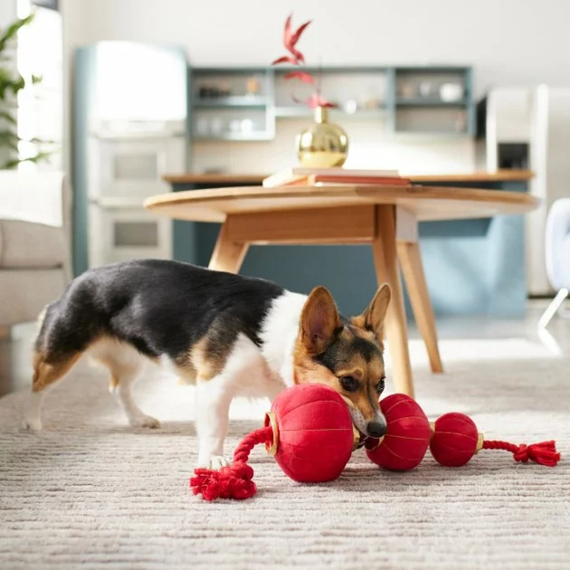 Frisco Lantern Plush with Rope Squeaky Dog Toy 5 Frisco Lantern Plush with Rope Squeaky Dog Toy - Image 3