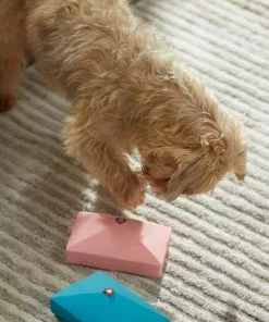 Frisco Love Letters Latex Squeaky Dog Toy, 2 count -The Frisco Store 298925 PT3. SY630 V1638987292