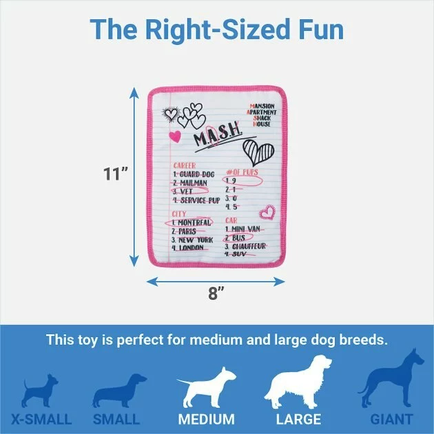 Frisco Valentine MASH Flat Plush Squeaky Dog Toy 4 Frisco Valentine MASH Flat Plush Squeaky Dog Toy - Image 2