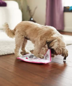 Frisco Valentine MASH Flat Plush Squeaky Dog Toy 7 Frisco Valentine MASH Flat Plush Squeaky Dog Toy -The Frisco Store 298927 PT3. SY630 V1638987702