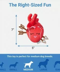 Frisco Anatomical Heart Plush Squeaky Dog Toy -The Frisco Store 298933 PT1. SY630 V1640284893