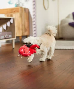 Frisco Anatomical Heart Plush Squeaky Dog Toy -The Frisco Store 298933 PT3. SY630 V1638987632