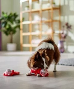 Frisco Lions Plush Squeaky Puppy Toy, 2 count -The Frisco Store 298935 PT3. SY630 V1638987670