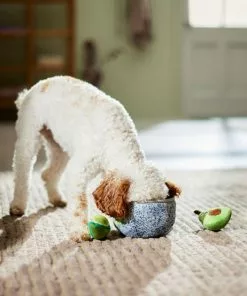 Frisco Guacamole Bowl Hide & Seek Puzzle Plush Squeaky Dog Toy -The Frisco Store 298941 PT3. SY630 V1638987315
