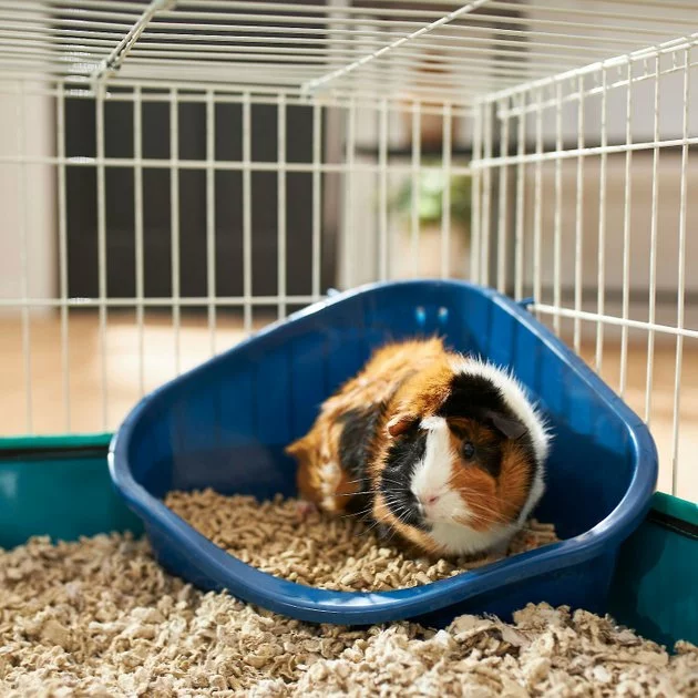 Frisco Corner Litter Box, Navy, Small + Small Animal Bedding, Natural 6 Frisco Corner Litter Box, Navy, Small + Small Animal Bedding, Natural - Image 4