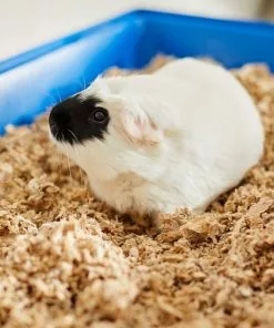 Frisco Corner Litter Box, Navy, Small + Small Animal Bedding, Natural 19 Frisco Corner Litter Box, Navy, Small + Small Animal Bedding, Natural -The Frisco Store 301910 PT8. SY630 V1644965804