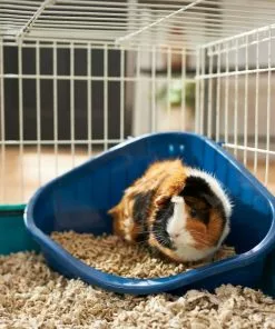 Frisco Corner Litter Box, Navy, X-Small + Small Animal Bedding, Natural -The Frisco Store 301916 PT3. SY630 V1644971631