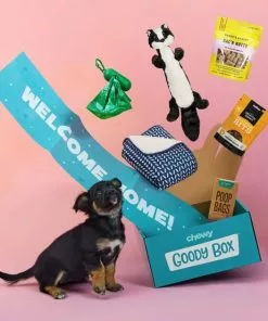 Goody Box||Frisco Goody Box Puppy Toys, Treats & Potty Training + Frisco Extra Large Training & Potty Pads, 28 x 34-in -The Frisco Store 301946 PT6. SY630 V1657656678