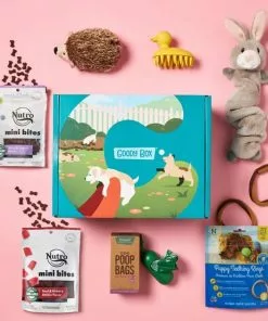 Goody Box||Frisco Goody Box Puppy Toys, Treats & Potty Training + Frisco Training & Potty Pads, 22 x 23-in -The Frisco Store 301960 PT5. SY630 V1658256765