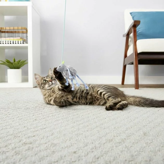 Goody Box||Frisco Goody Box Kitten Toys & Treats + Frisco Multi-Cat Unscented Clumping Clay Cat Litter 6 Goody Box||Frisco Goody Box Kitten Toys & Treats + Frisco Multi-Cat Unscented Clumping Clay Cat Litter - Image 4