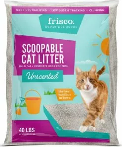 Goody Box||Frisco Goody Box Kitten Toys & Treats + Frisco Multi-Cat Unscented Clumping Clay Cat Litter 17 Goody Box||Frisco Goody Box Kitten Toys & Treats + Frisco Multi-Cat Unscented Clumping Clay Cat Litter -The Frisco Store 301962 PT6. SY630 V1622820447