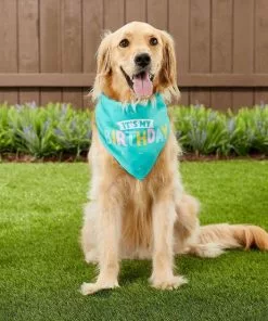 Frisco Birthday Bandana, X-Small/Small + Dog & Cat Crown, X-Small/Small -The Frisco Store 302372 PT5. SY630 V1633061225