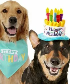 Frisco Birthday B&ana, X-Small/Small + Dog & Cat Hat, X-Small/Small -The Frisco Store 302374 PT2. SY630 V1633061815