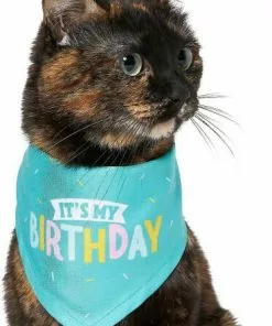 Frisco Birthday B&ana, X-Small/Small + Dog & Cat Hat, X-Small/Small -The Frisco Store 302374 PT3. SY630 V1633076486