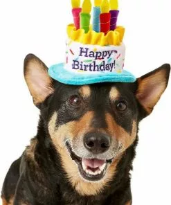 Frisco Birthday B&ana, X-Small/Small + Dog & Cat Hat, X-Small/Small -The Frisco Store 302374 PT4. SY630 V1633078001