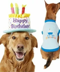 Frisco Birthday Cake Hat, Medium/Large + Dog & Cat T-Shirt, Blue