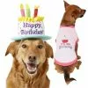 Frisco Birthday Cake Hat, Medium/Large + Dog & Cat T-Shirt, Pink 2 Frisco Birthday Cake Hat, Medium/Large + Dog & Cat T-Shirt, Pink -The Frisco Store 302384 MAIN. SY630 V1623062548