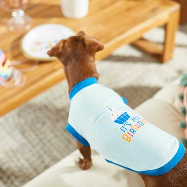 Frisco Birthday Cake Hat, X-Small/Small + Dog & Cat T-Shirt, Blue 10 Frisco Birthday Cake Hat, X-Small/Small + Dog & Cat T-Shirt, Blue - Image 8