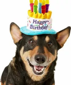 Frisco Birthday Cake Hat, X-Small/Small + Dog & Cat T-Shirt, Pink -The Frisco Store 302396 PT1. SY630 V1623070045