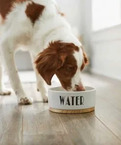 Frisco Ceramic Bowl with Wood Base, 2.5 Cups + Treat Jar, 4 Cups -The Frisco Store 302412 PT3. SY630 V1623071551