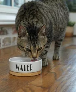 Frisco Ceramic Dog & Cat Water + Food Bowl with Wood Base 13 Frisco Ceramic Dog & Cat Water + Food Bowl with Wood Base -The Frisco Store 302414 PT3. SY630 V1623051143