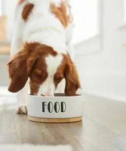 Frisco Ceramic Dog Bowl with Wood Base, 2.5 Cups + Treat Jar, 4 Cups -The Frisco Store 302418 PT4. SY630 V1623088650