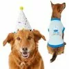 Frisco Confetti Birthday Hat, Medium/Large + Dog & Cat T-Shirt, Blue -The Frisco Store 302428 MAIN. SY630 V1623064656